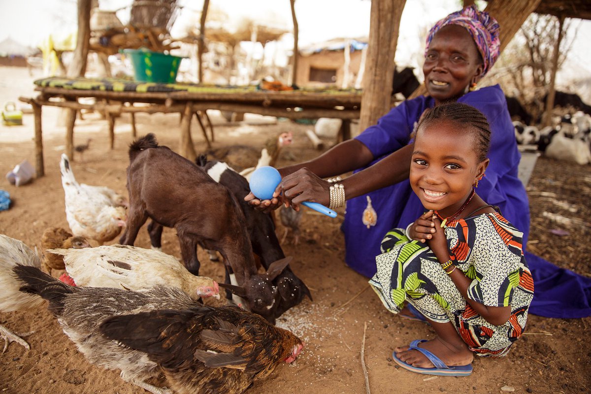 Heifer's tweet image. It only takes a minute to help a family out of hunger and poverty. #GiveHeifer today: bit.ly/1OebeuG
