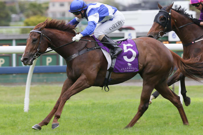 RussellWarwick2's tweet photo. Thanks to Jim Collett &amp; @SamanthaCollet on a fantastic win with Red Striker in the Listed @hallmarkstud Hp. #topteam https://t.co/KBDMuvr3mf
