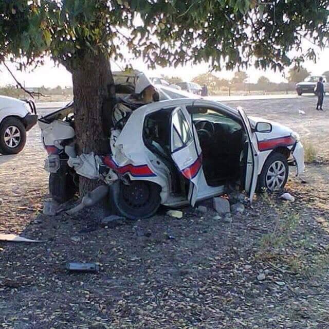 Police in Namibia getting too close to a tree...