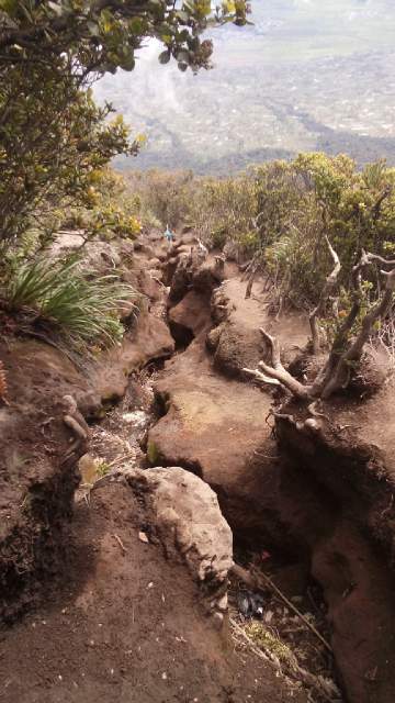 infopendaki's tweet photo. RT @inirendykok: Tracknya Kerinci brooh!! Pecah to pecah to pecah!! Pinggang hampir patah X)) https://t.co/babFXUHXA7