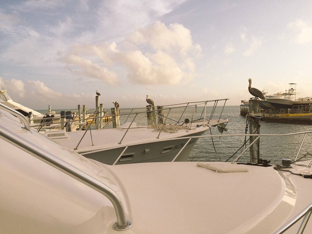 pla_baldax's tweet photo. Our #NataleaMiami15 continues towards first #KeyWestExperience. Excited to discover the most Southern point of USA https://t.co/yBI28f1BIx