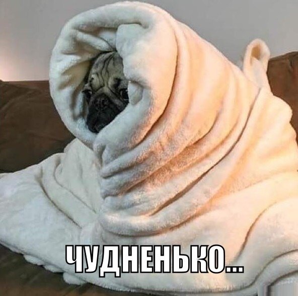 - Как настроение? 
-