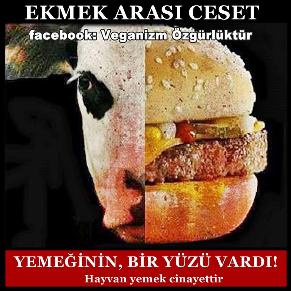 Vegan olmak bir lüks değil, zarar vermeden yaşamanın başlangıç noktasıdır. #vegan