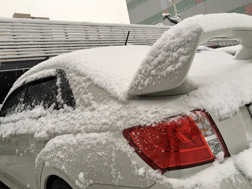 ゆきゆき まさかの車用の雪かき道具入ってなくてこの状態で30分くらい動けなかった T Co Xpzei3ntq6