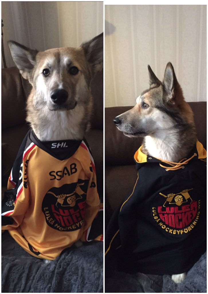 Alla redo för matchdag! Vi kommer att sakna dig <a href="/asekaati/">Åse Arnesdotter Kaati</a>