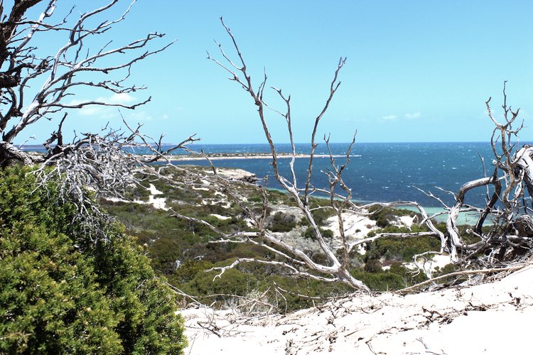 kaitlinkav's tweet image. New post on the site: walking through Widdelbee Park kaitlin-kavanagh.com/blog/ #builditbeautiful