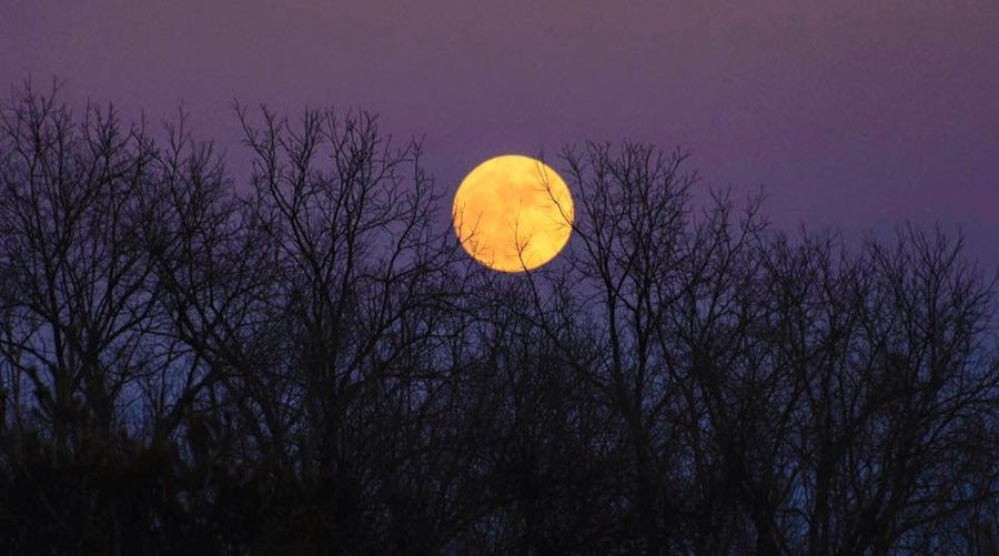 Σύνδεσμος ενσωματωμένης εικόνας