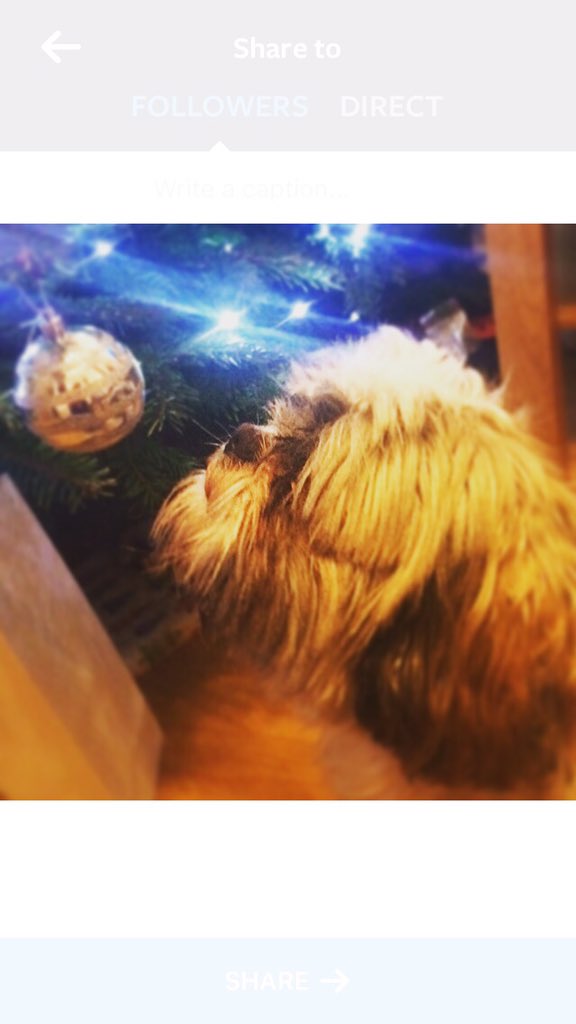 Hope you are all having a wonderful Christmas!