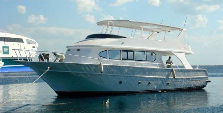 INVESTMENT IN EGYPT tweet media