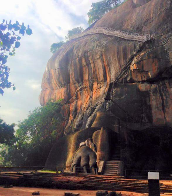 Amal Abeyawardene tweet media