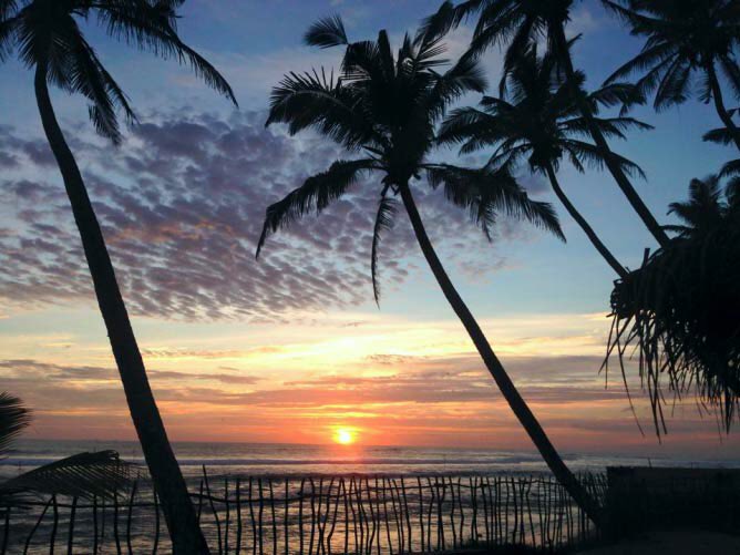 Amal Abeyawardene tweet media