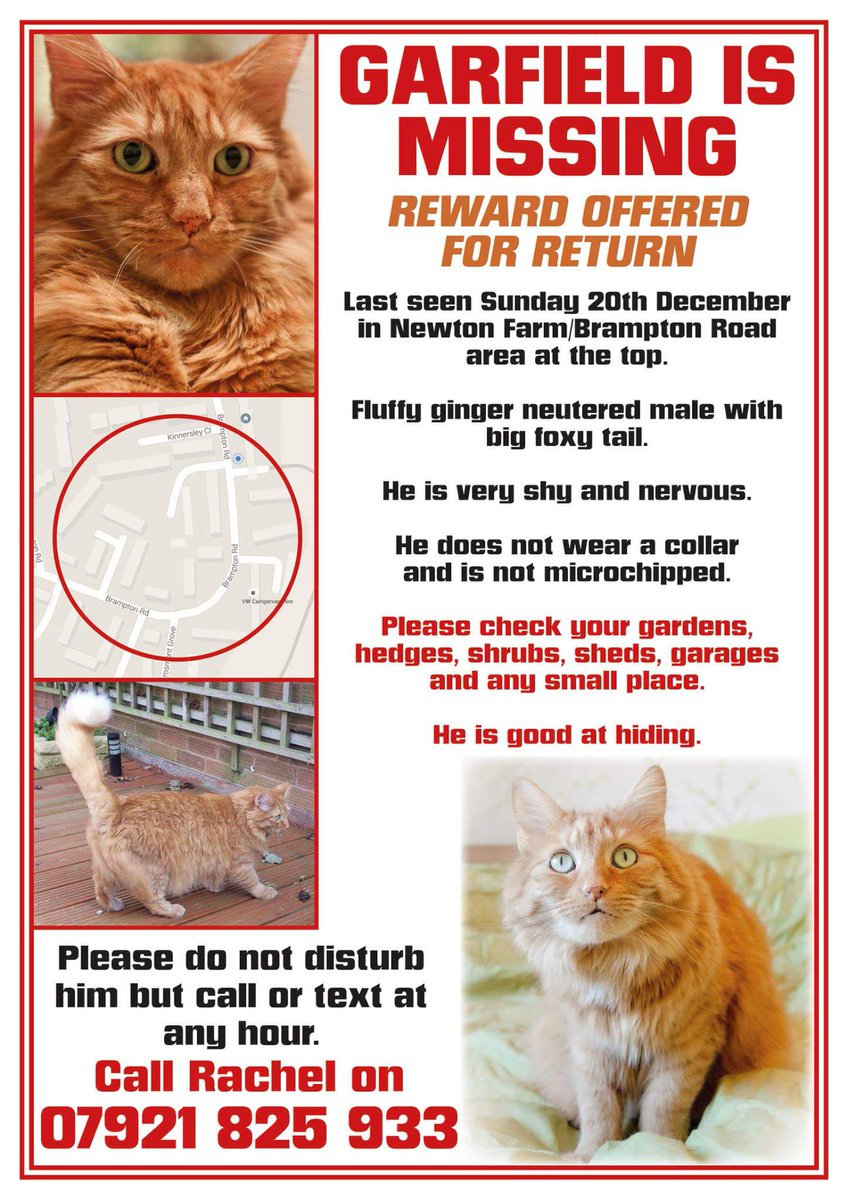 Please RT and help find Garfield. #Hereford