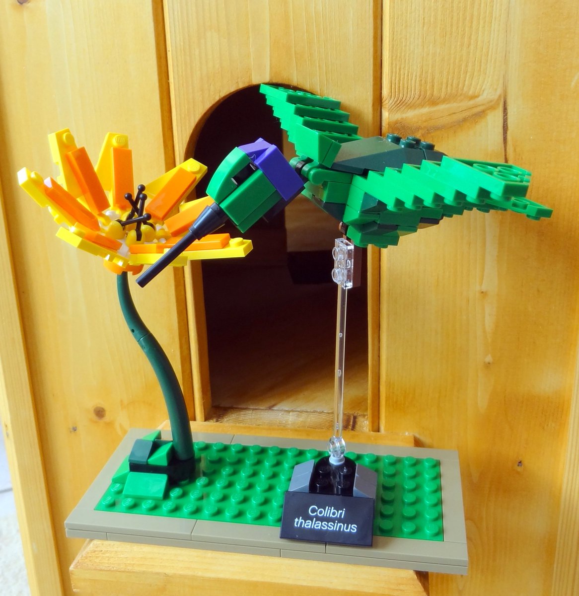 JulzMunczy's tweet photo. With many thanks to #thomaspoulsom #Lego https://t.co/ADhPf010Sp