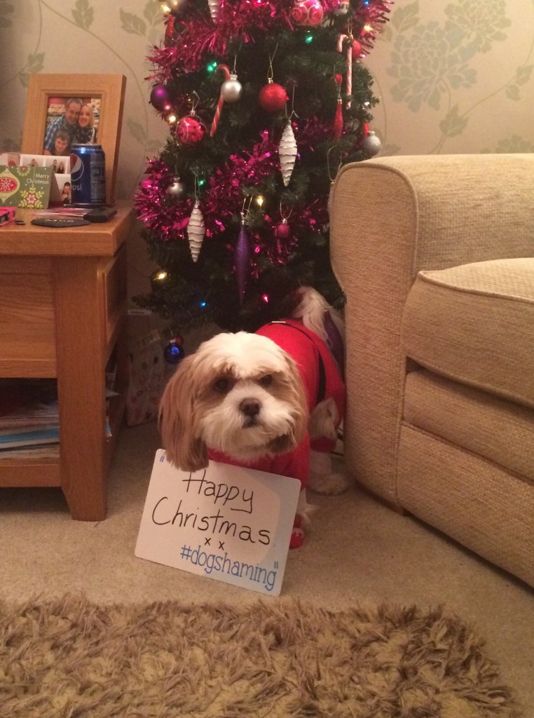 Charlie says 'Happy Christmas'.....