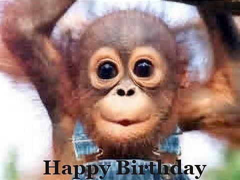 Happy Birthday to Dermot Murnaghan-Steve Steen-Richard Skinner -John Scofield-Jane Lapotaire-Phil Spector   