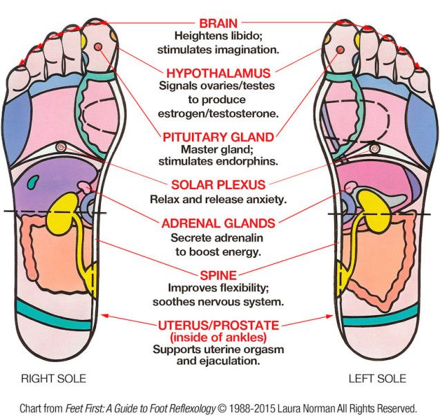 Reflexology Foot Chart Uterus