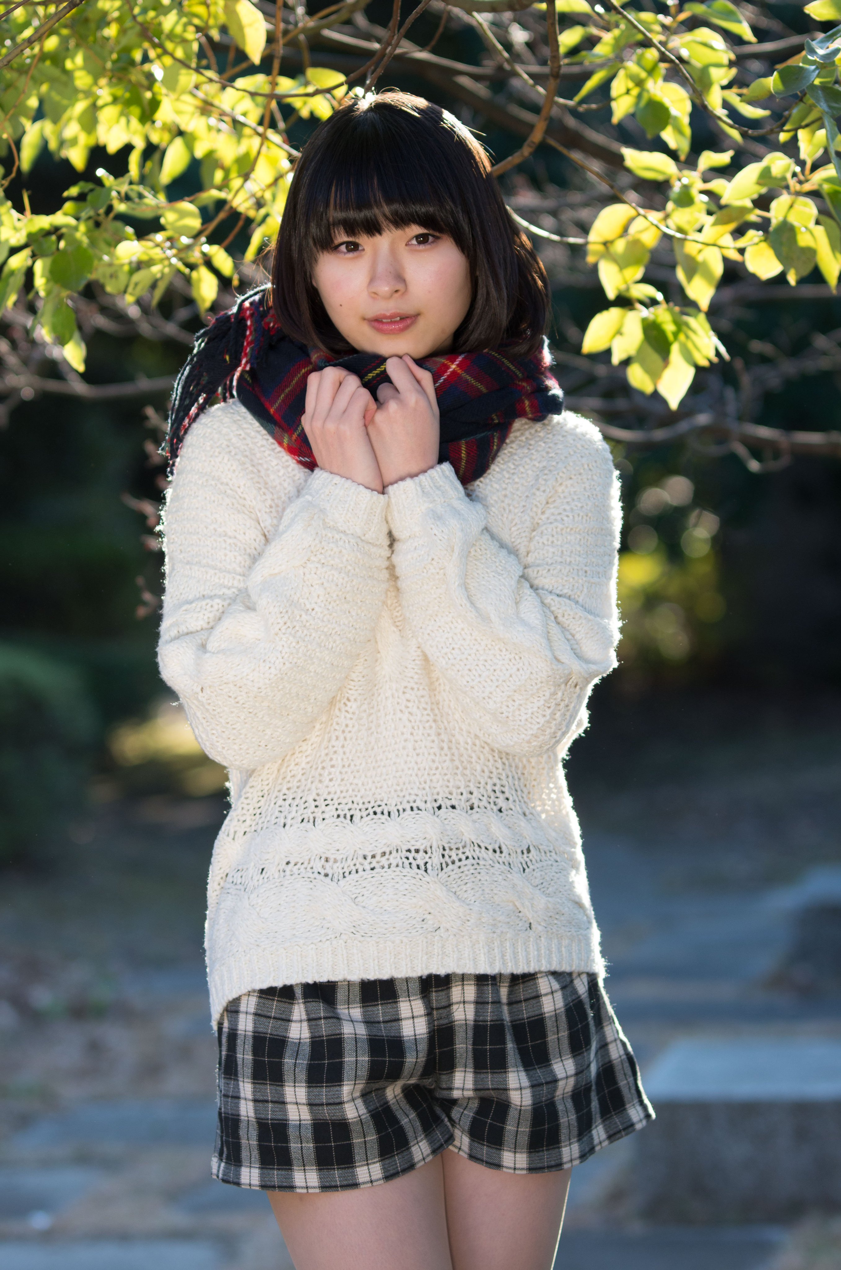 芹沢希 