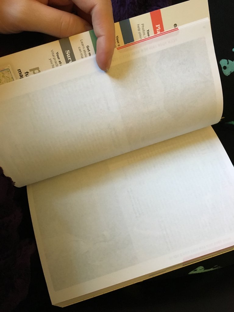 Geography Department tweet media