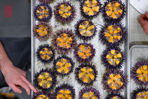 ulteriorepicure's tweet photo. Day 9: @kyleconnaughton of @st_farms at #12Days2015 at @therestaurantMW. https://t.co/EpLpyX4gjA https://t.co/YRGGooKxbP
