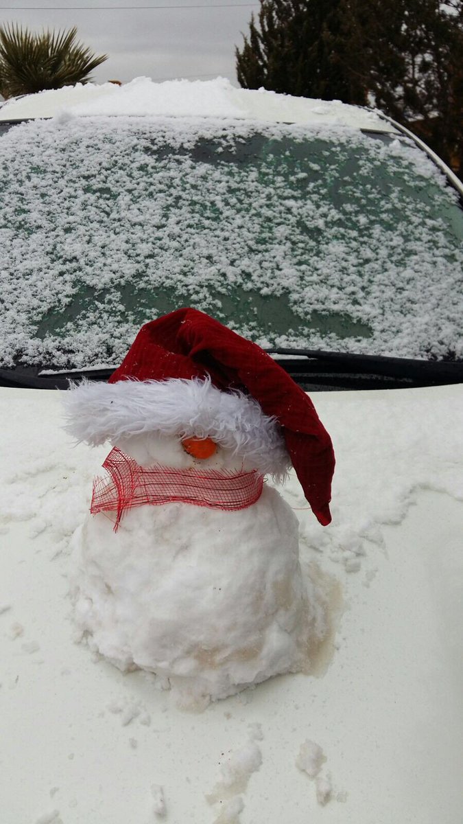 Fuertes nevadas en Sonora - CXK3Oz4UQAELg1n