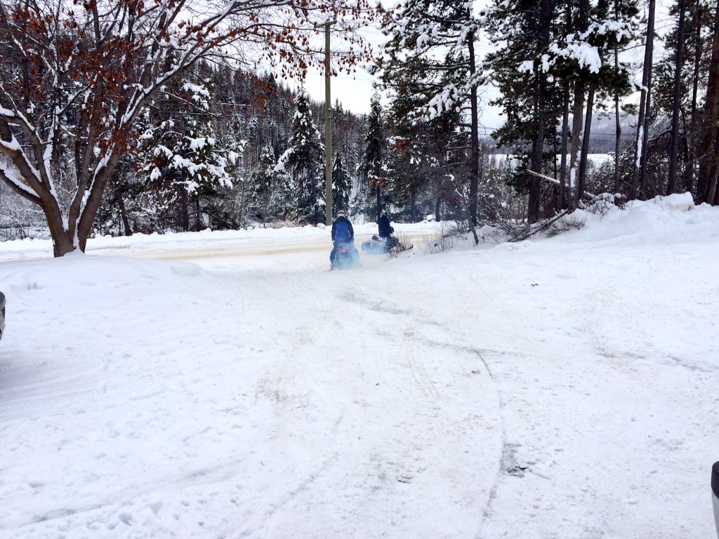 Tina27Twit's tweet image. Waaa ... wish I could go sledding too ❄️ #Yamaha #ridesaferidehard