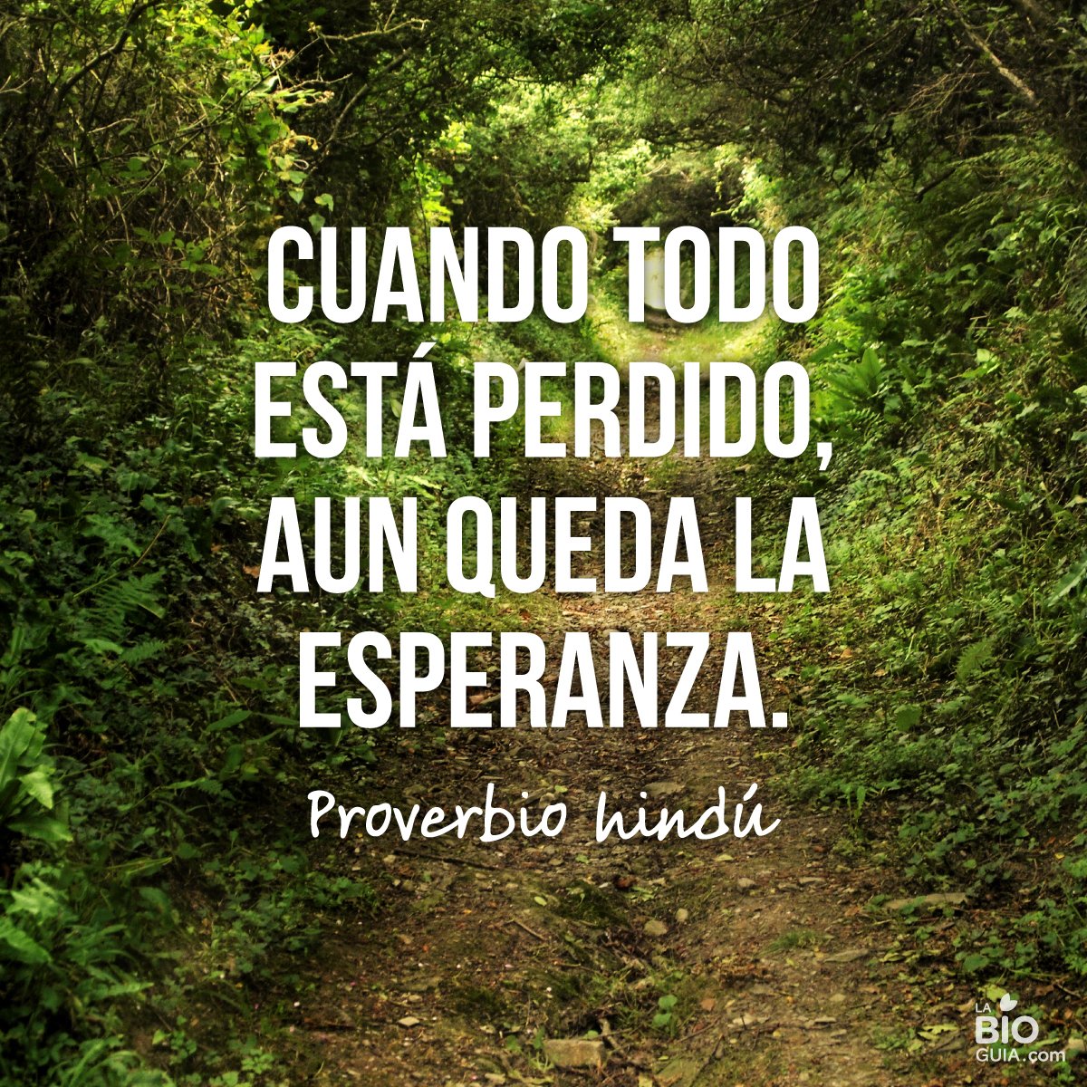 somosbioguia's tweet photo. https://t.co/EkpfNptFkA
