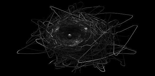 FavoriteTrips's tweet image. Гнездо вороны