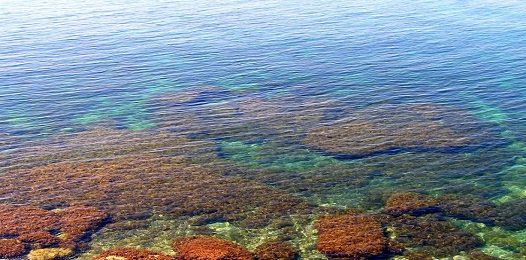 FavoriteTrips's tweet image. Тарханкут