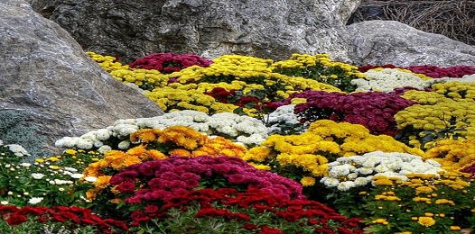 FavoriteTrips's tweet image. Канака.