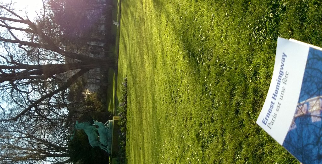 Daniel075 tweet picture