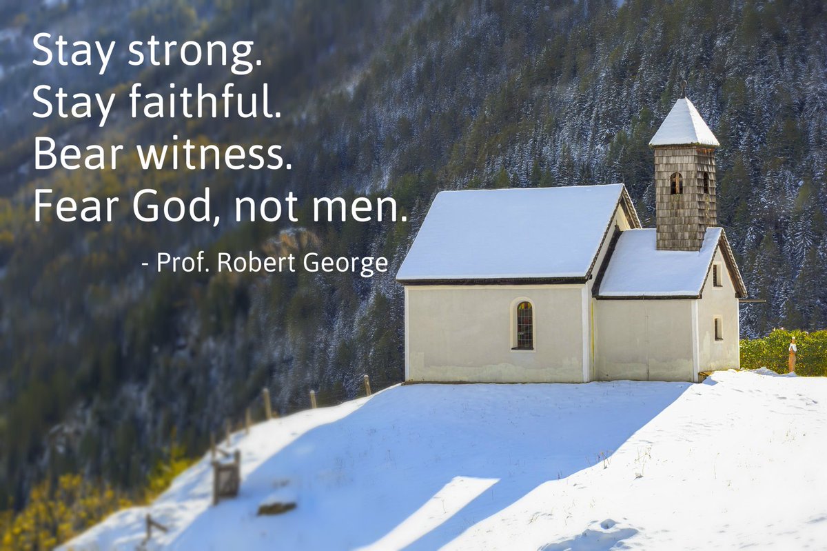 NC Family (@ncfamilypolicy) on Twitter photo 