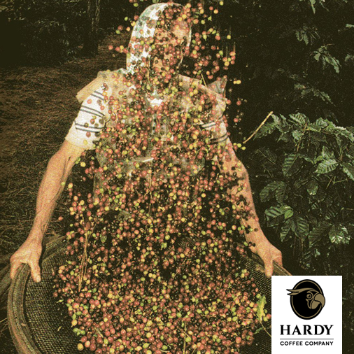 CaffeHardyEMEA's tweet photo. Ever wondered what your unused Caffe Hardy #coffee grounds can do? #ecofriendly #thirdwave https://t.co/NLfVca5CKv https://t.co/PXEJ7k1FC8
