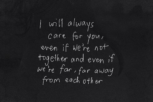tumblrs13 tweet picture