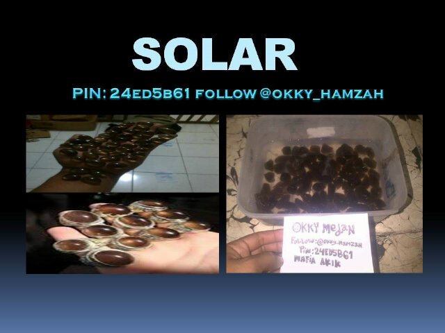 <a href="/Gemstone_Nusa/">Gemstone Nusantara</a> ni banyak sama ane gan,,