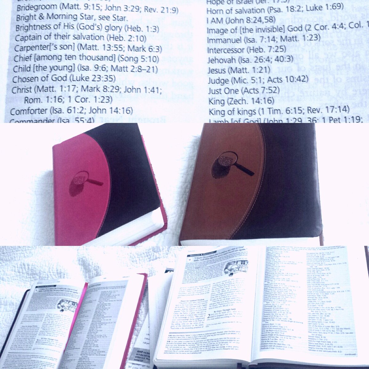 #matchingbibles #morningreading
