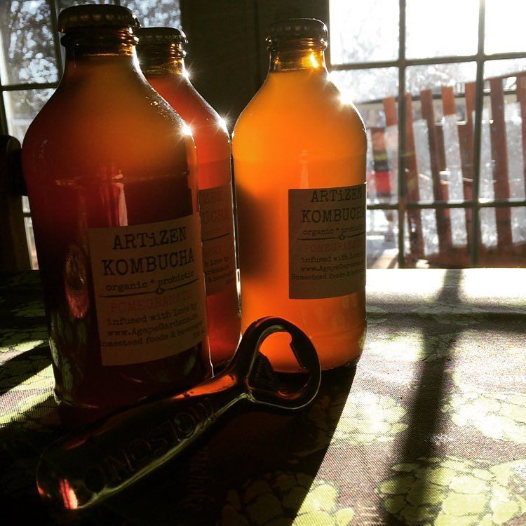 KombuchaGuruX's tweet photo. https://t.co/iBDRcRYZ9r Can’t wait to try @agapegardens #artizen new flavour #gingerpear … https://t.co/EXLQxSa0i8 https://t.co/HLMB6KQMVi