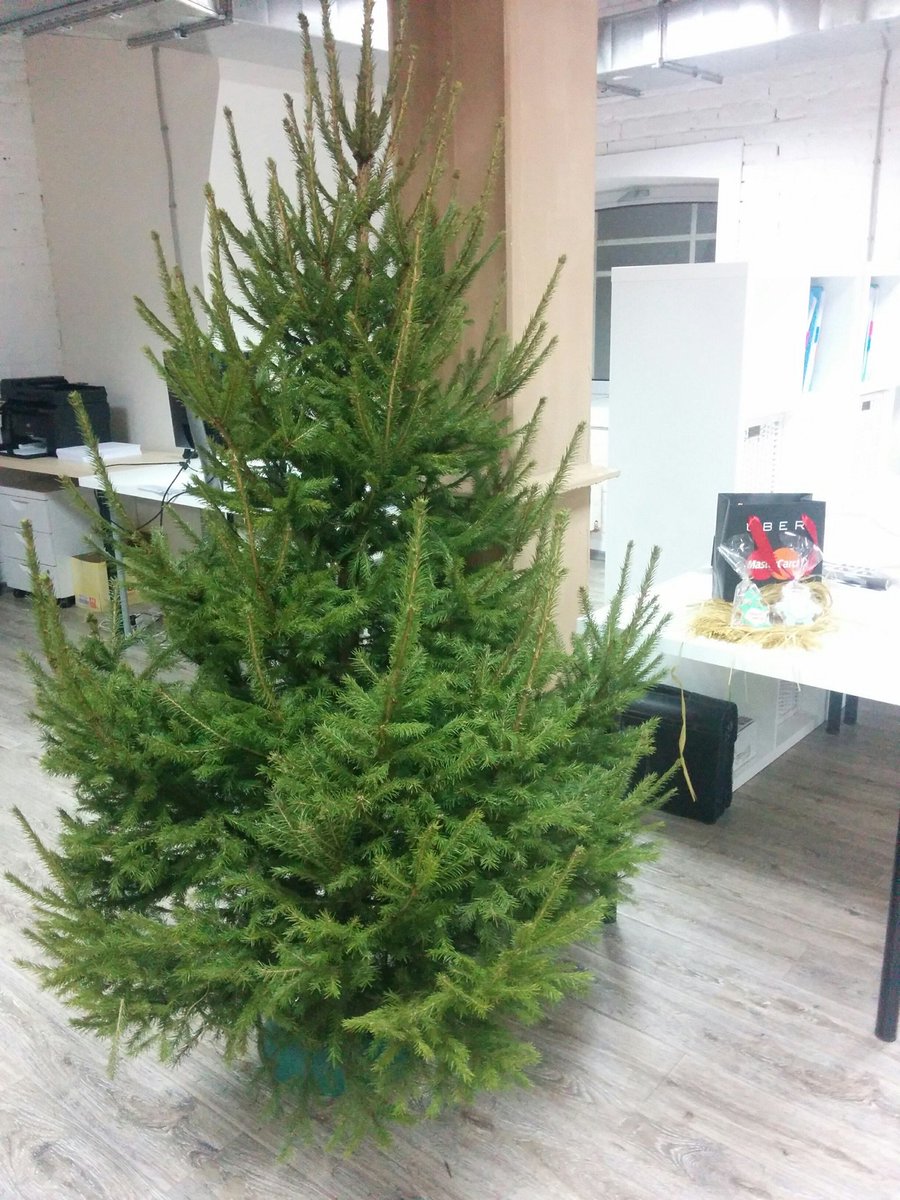 Ledniy's tweet photo. Не зря я весь день пытался заказать #UberELKA Спасибо @Uber_Russia и @MasterCard_Ru https://t.co/fQNWjxHfZ2