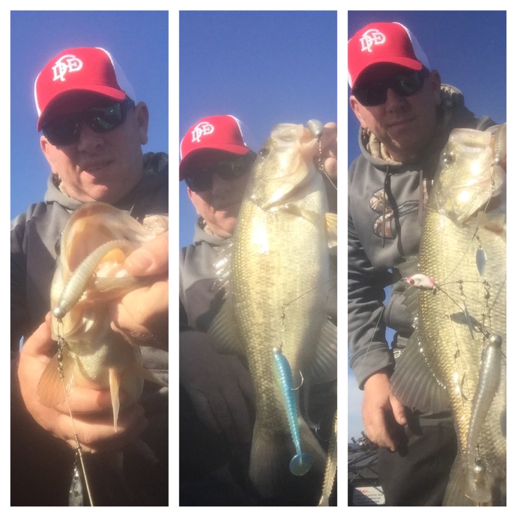 Smash Tech Baits (@smashtechbaits) on Twitter photo Customer Doug Rener having some Christmas Day luck on our Smash Tail jr! Customer Doug Rener having some Christmas Day luck on our Smash Tail jr!