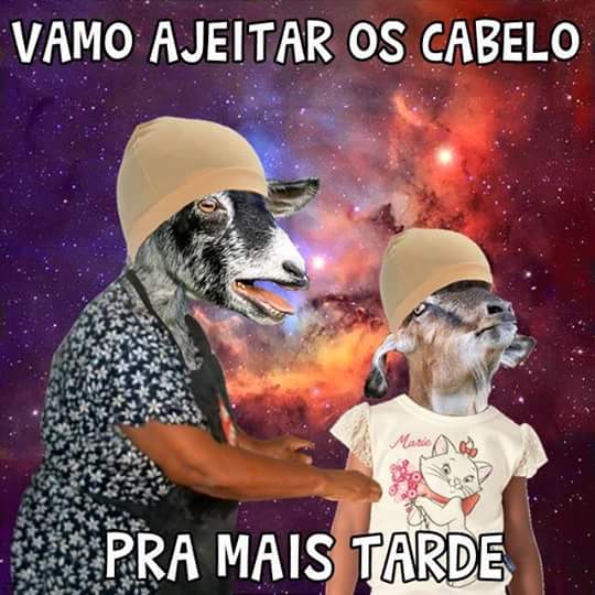 VTmara's tweet image. 