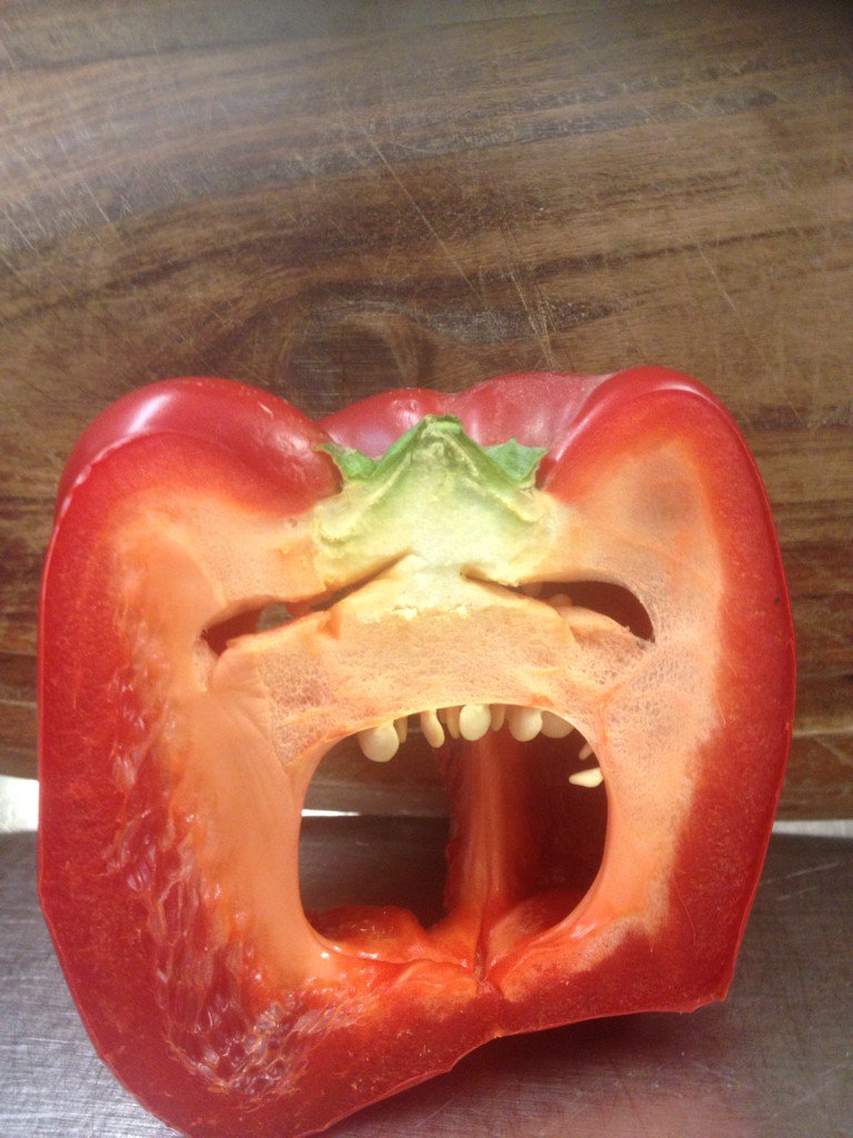 harperonthehill's tweet photo. @UglyFruitAndVeg #angrypepper https://t.co/2J1qI5VVsn