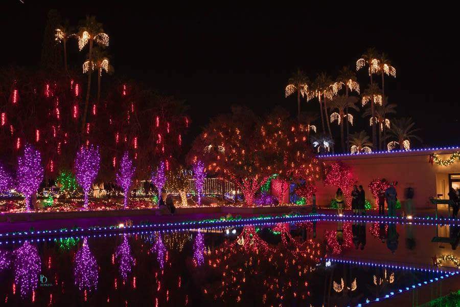 Feastival Forest tweet media