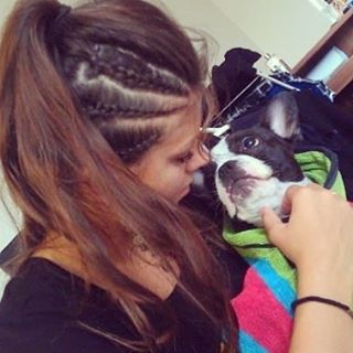 Frenchie_Cute's tweet photo. #frenchbulldog #bullylove #mybaby #love #conrowstyles #conrows #bully #dog https://t.co/GSoMsdv1Un https://t.co/6LI44ADcCy