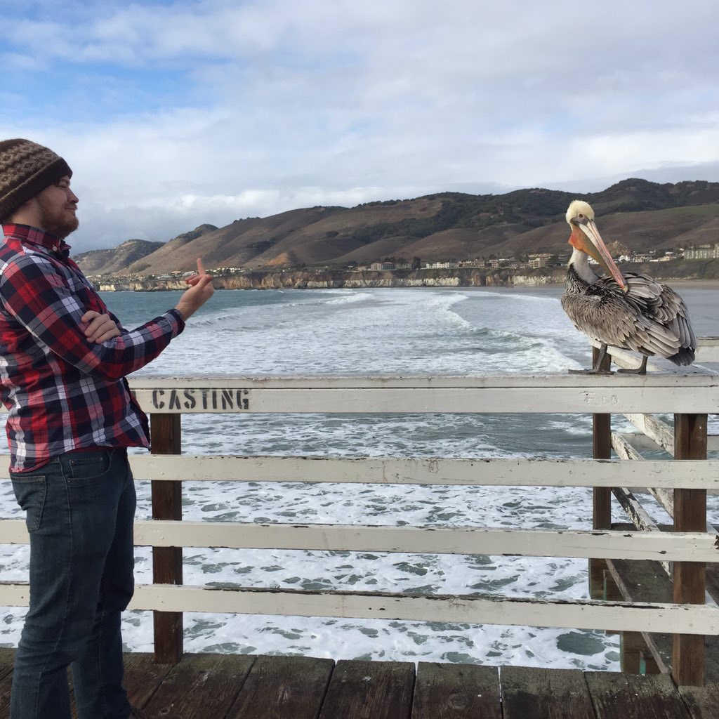 RobScallon's tweet image. Whatever Jeff, I don't need a bird in my band. You can have the bird!