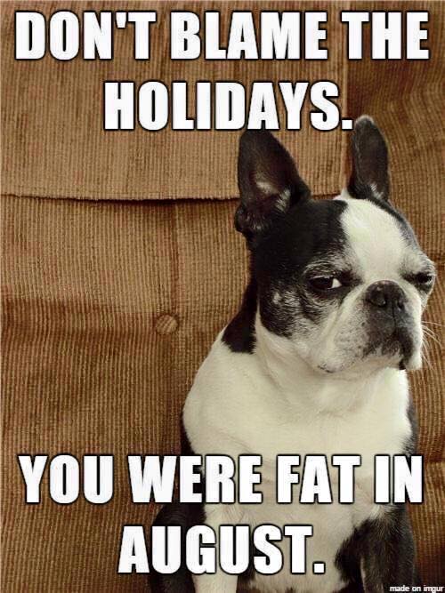 dogtrainingfun's tweet photo. https://t.co/eYRlqiaE1N