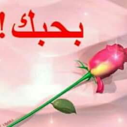 Raad1226's tweet photo. @@whore_naughty https://t.co/yG2Fl9d6cK