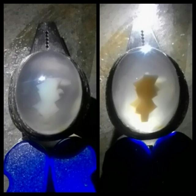 Motif dalam anggur