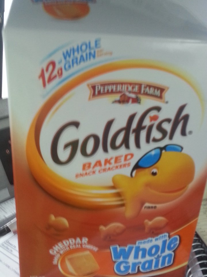 iamfairseas's tweet photo. Probably one of the best presents I got this year. #feedashark https://t.co/M1WE3bzS3g