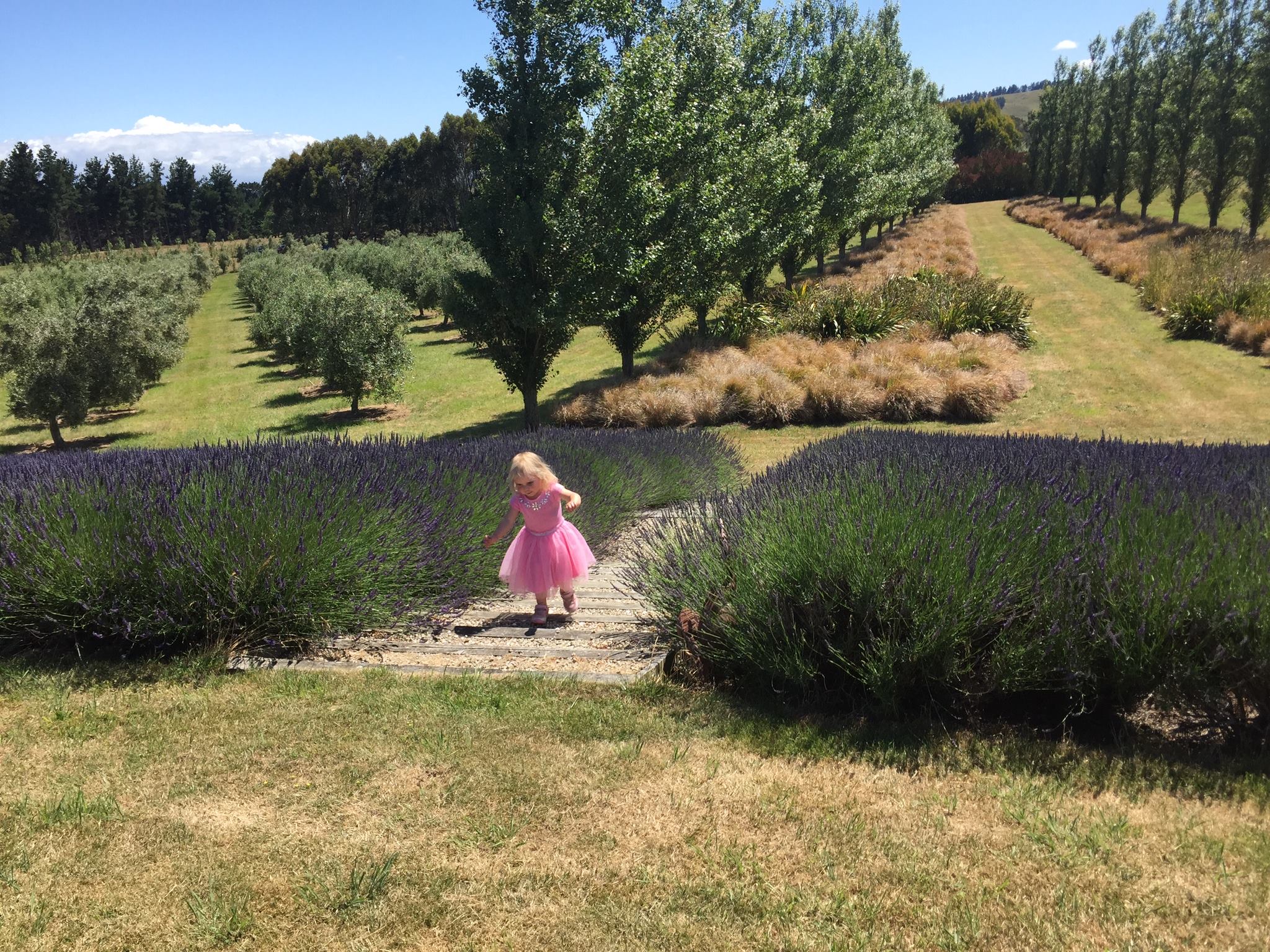 Martinborough on Twitter 