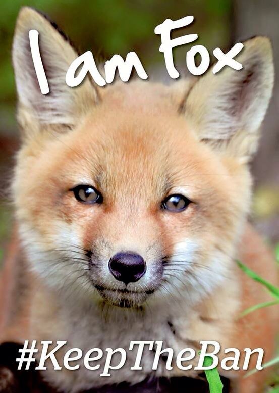 League Against Cruel Sports tweet media