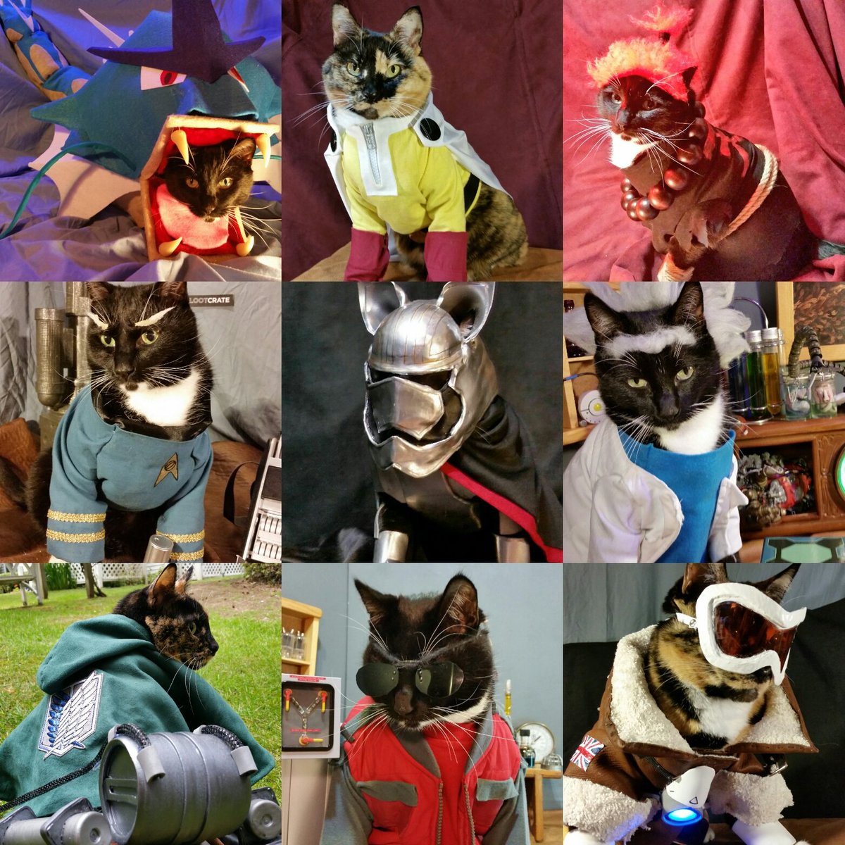 Embedded image permalink